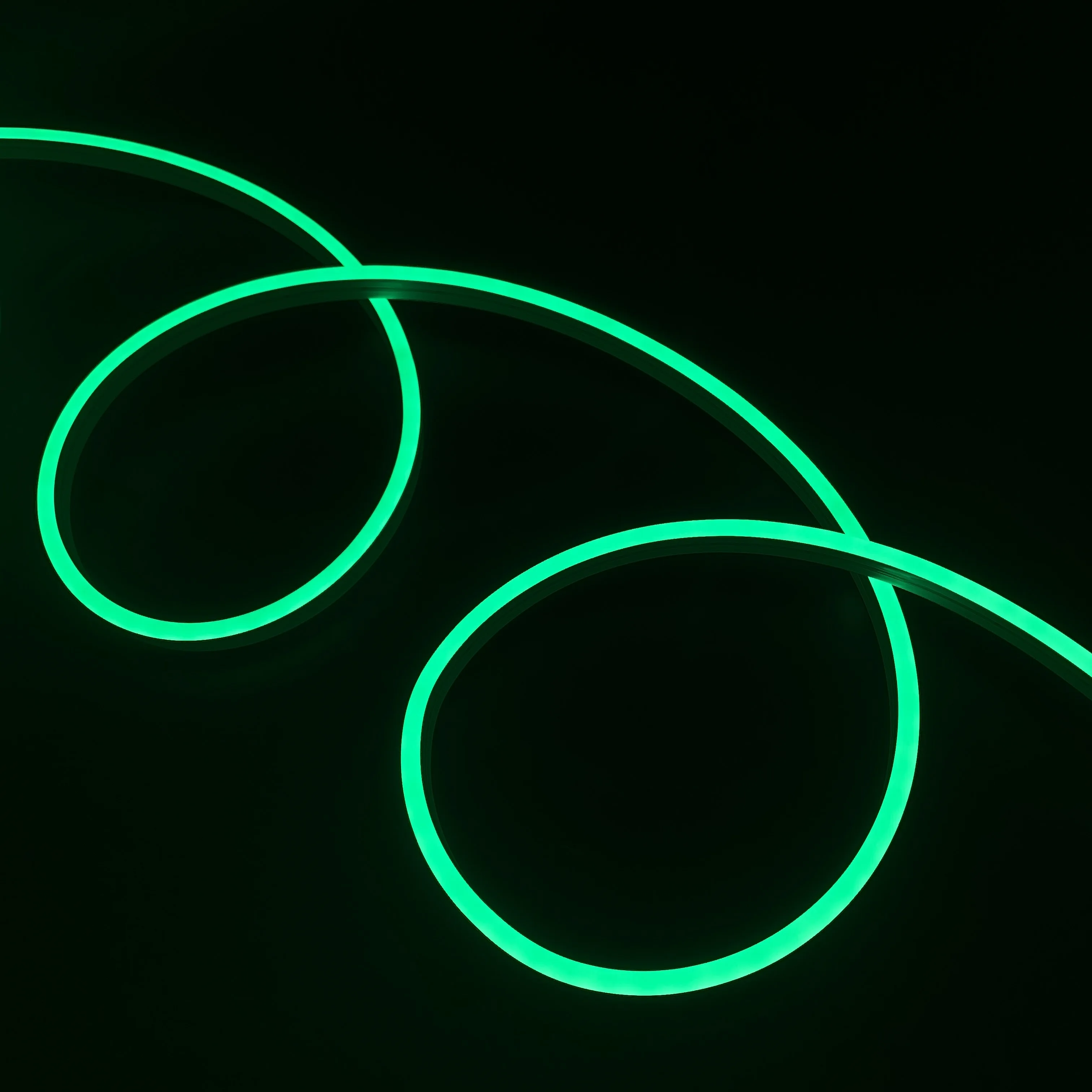 high brightness slim silicone led neon strip DC12V DC24V Led Flex Neon Led with 3 years warranty