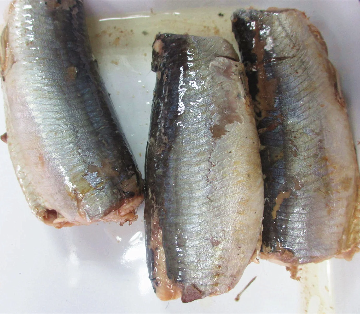 
HALAL Canned Sardine factory sardine Fish in Vegetable Oil, Tomato Sauce&Brine Tall Can 425g 