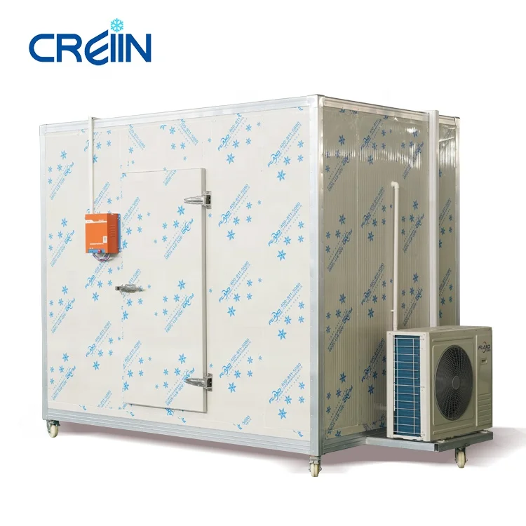 Chiller Room Cold Storage Industrial Frozen Chicken Paws Blast Freezer Room