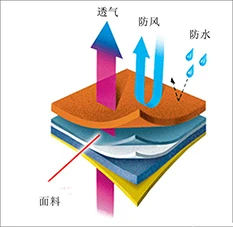 Eco-friendly PUR hot melt adhesive Laminating Machinery