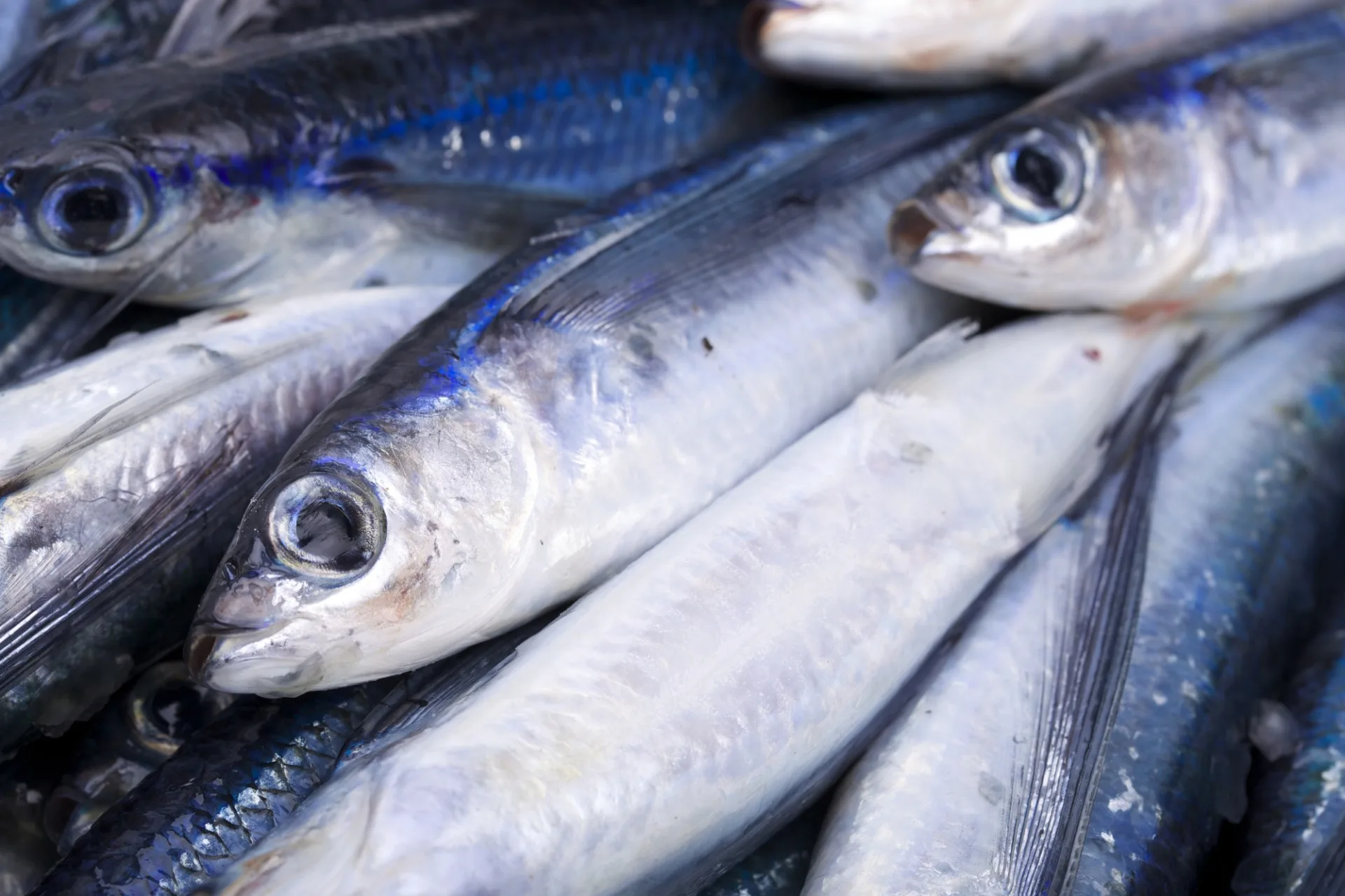 Popular healthy flying fish broth bottle healthy japan vinegar