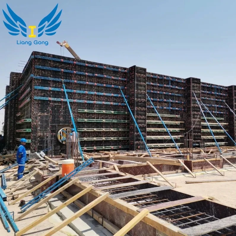 Lianggong пластиковая опалубка настенная плита формочка для строительства бетонной формы ПВХ конструкции