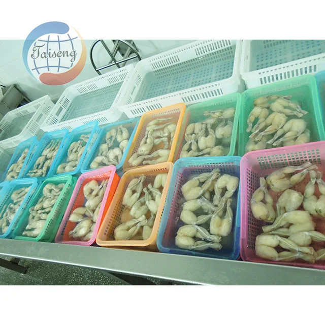 China frozen frog legs