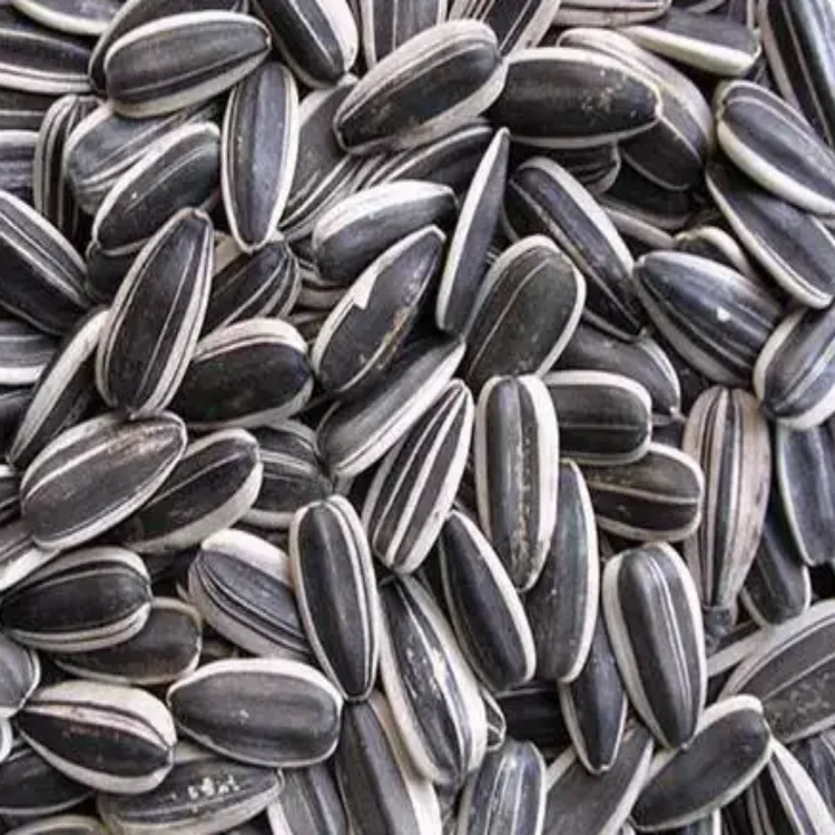 Whole sunflower seeds with excellent taste