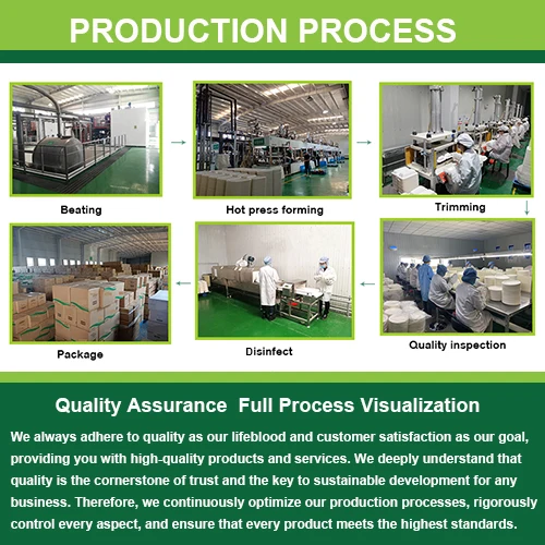 Sugarcane Tableware Bagasse Packaging 10Oz 12Oz 16Oz Biodegradable Salad Bowl Containers Pulp Mouldin Bagasse Bowl With Lid