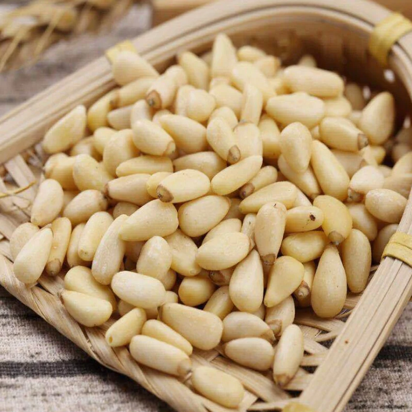 pine nuts from china Wholesale pine cedar nut in a shell nuts and dried fruits
