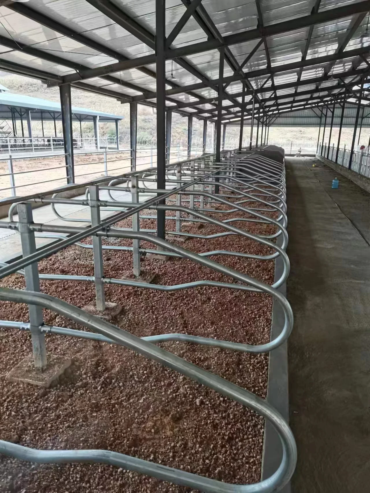 Dairy Cattle Stall Bed and Feeding Fence Cow and Calf Farm Gear Bearing Components for Poultry Field for Retail Industries