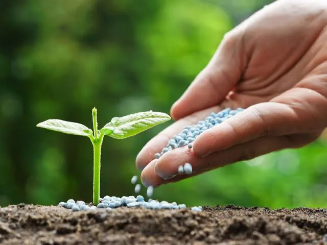 Slow Release Compound Fertilizer To Keep The Freshness Longer