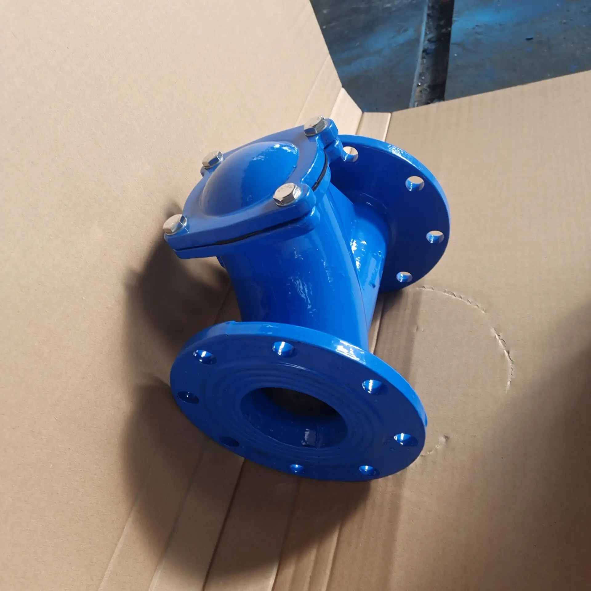
PN16 DN100 Cast Iron rubber ball Check Valve 