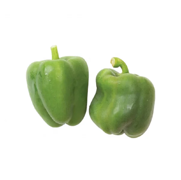 
Green Bell Pepper High Standard vegetables and fruits in Vietnam 
