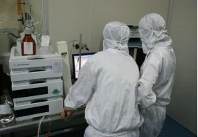 paste-pic-dp_uuid_bcgra