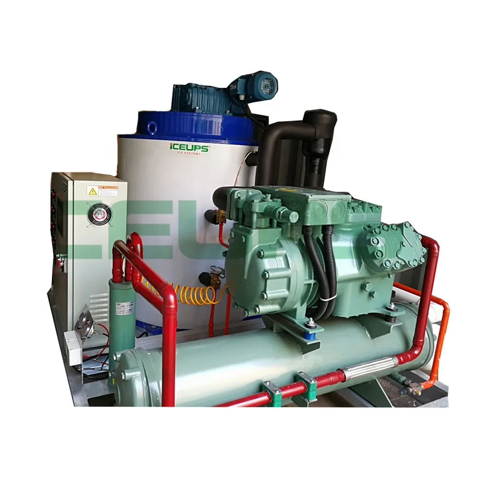 China factory supply 5-ton/24hr industrial ice making machines for fish and vegetables