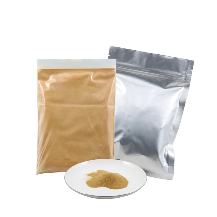 TSY Food Bulk Halal soya sauce powder natural brewed 500g for Making Soy Sauce Instant Free Sample soy sauce concentrate powder