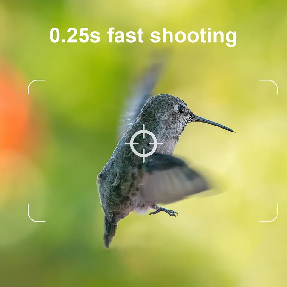 4K 48MP IP65 Waterproof Wildlife Hunting Camera Outdoor Surveillance Trail Camera with Night Vision