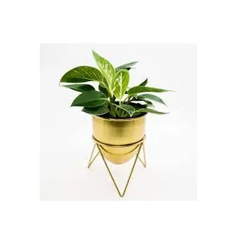 Stylish metal planter pots with stand for home decorate at reasonable price golden flower pots with planter stand for garden