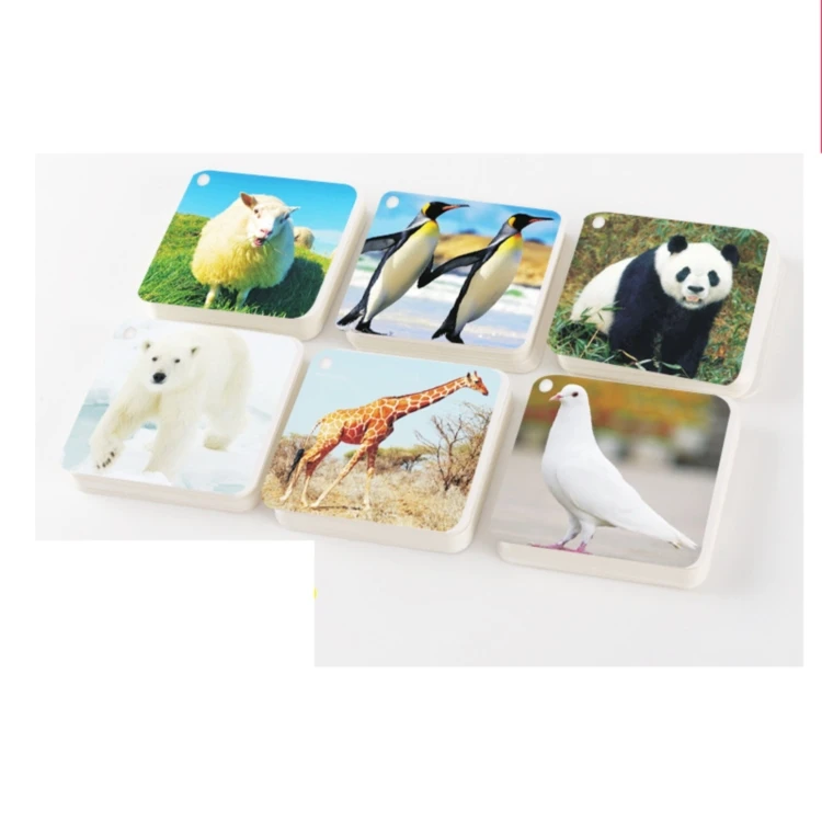 Высокое качество дешево раскраски книгопечатания обслуживание печатания книги для