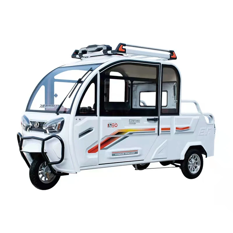 2022 New Design Closed Electric Tricycle with 5 Doors from China