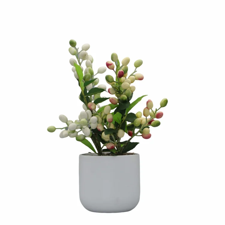 Red Ceramic Garden Pot Malaysia Botanical Design Flowerpot color ceramic succulent pot