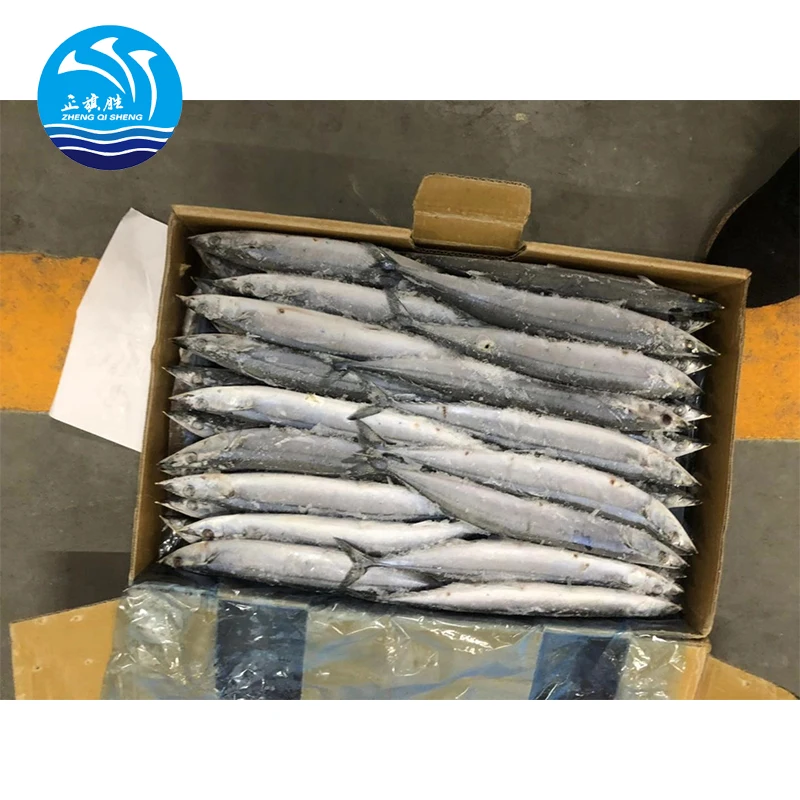 Japanese Frozen Seafood Pacific Saury 100-120g Fish For Export