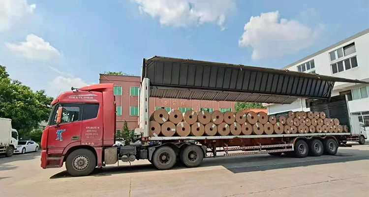 Cailong Transparent Pet Pettransparent Polyethylene Plastic Film Sheet Clear Transparent PET Film With PE Film For Thermoforming