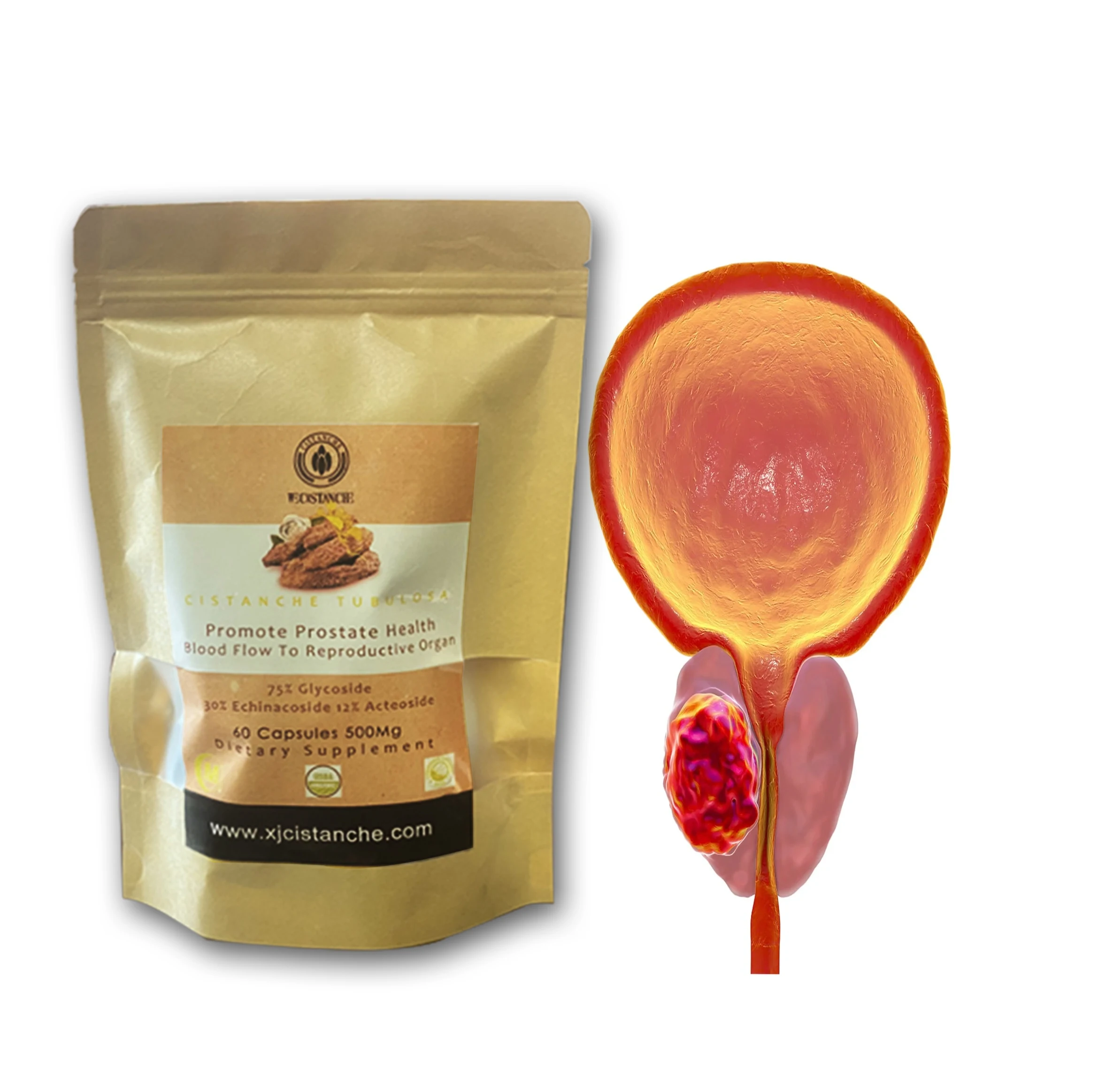 Herbal Cistanche Prostate Supplement 75% Total Glycosides 30% Echinacoside 12% Acteoside Herbal Prostate Supplement