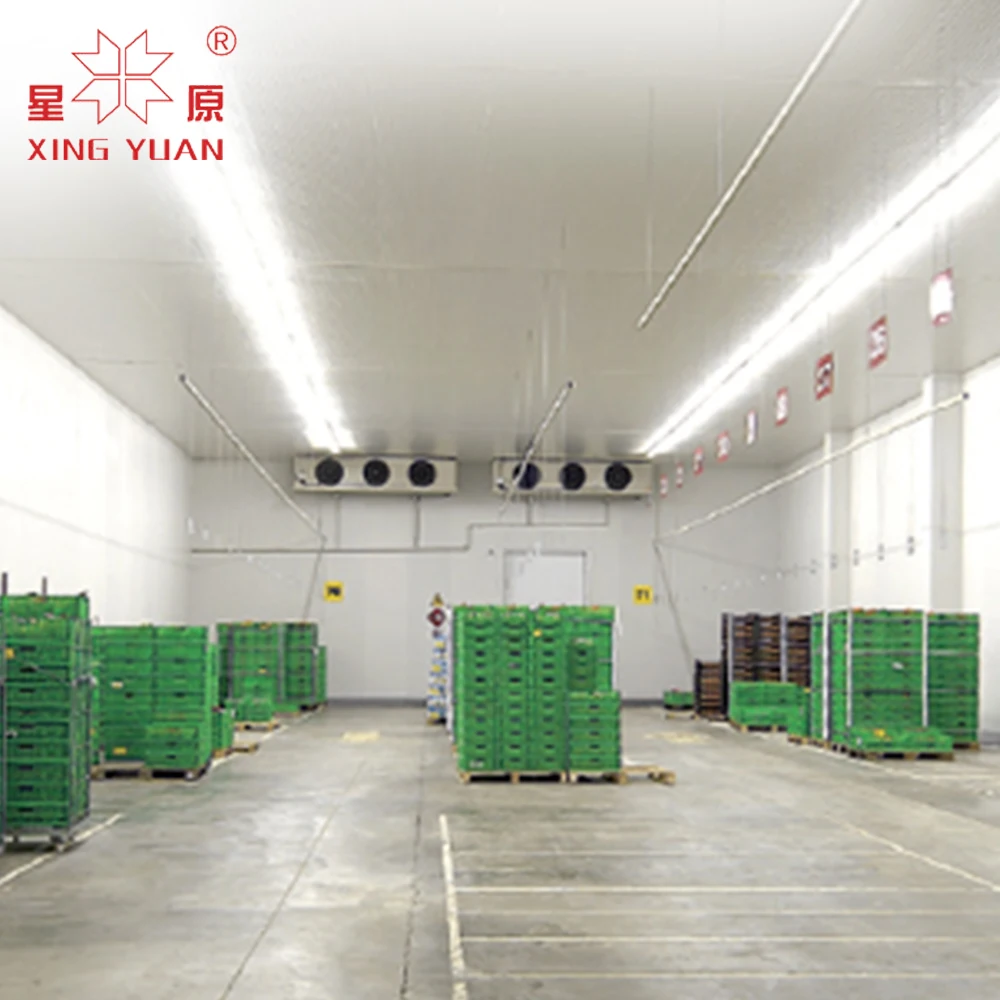 Chinese Manufacturer mushroom cold room refrigeration equipment cold room