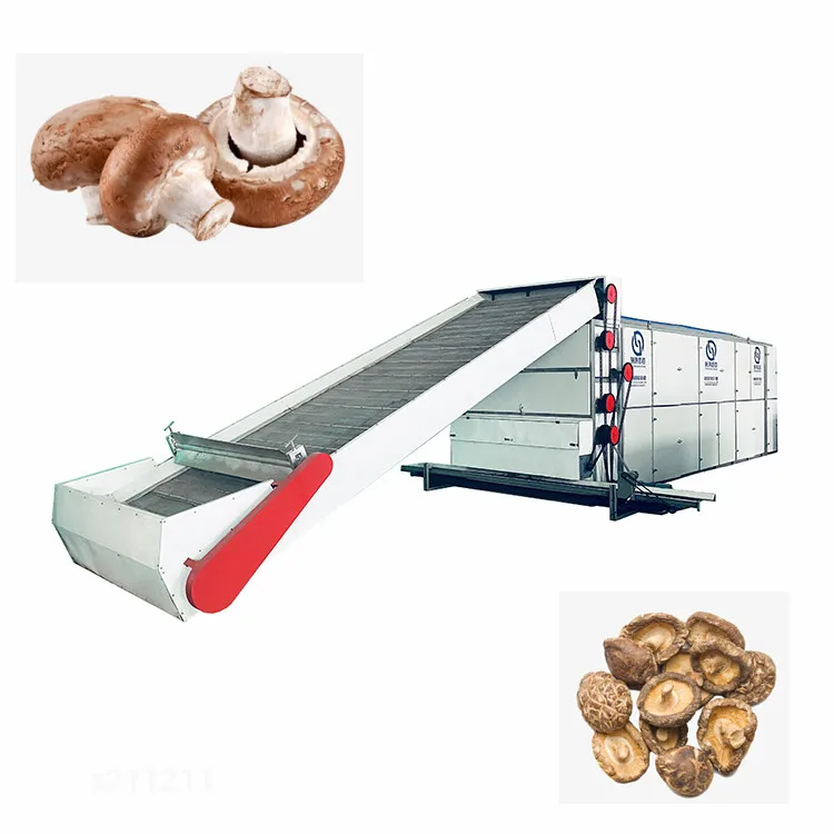 Continuous Conveyor Automatic Food Fruits Vegetables herbs Dehydrator Continuous Mesh Belt dryer Cassava Processing Machines