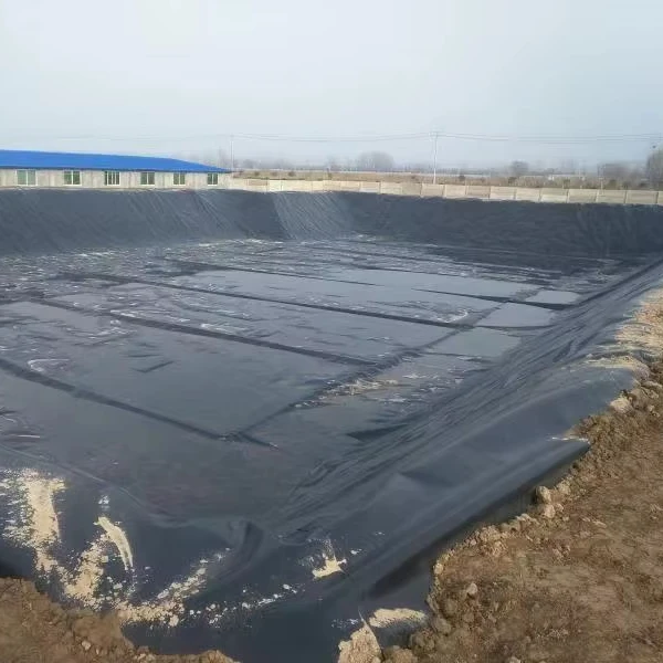Geomembrane GM13 ASTM 0.3mm 0.5mm 0.75mm1mm HDPE liner factory price hdpe geomembrane sheet fish ponds farm tank