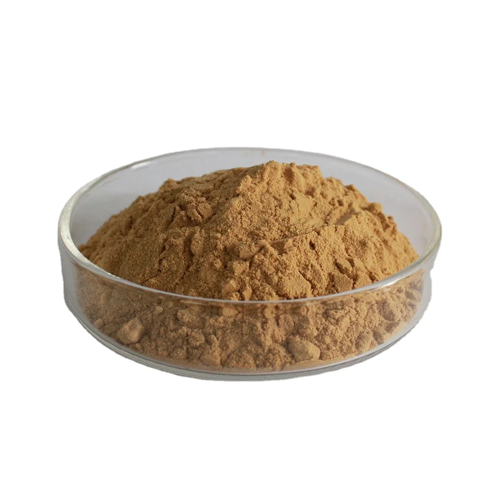 China Dietary Supplement Hericium erinaceus (Bull.) Pers Naturalin 30% beta glucan kit K-YBGL Monkey Head Mushroom Extract