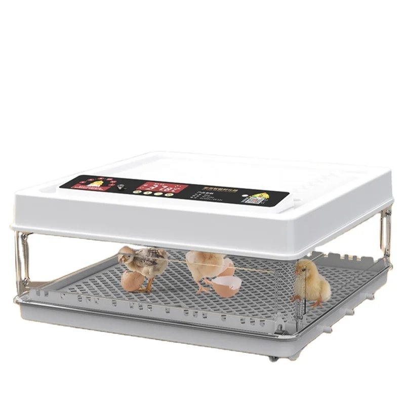 Dual power supply 12V egg incubator for battery power 48 eggs