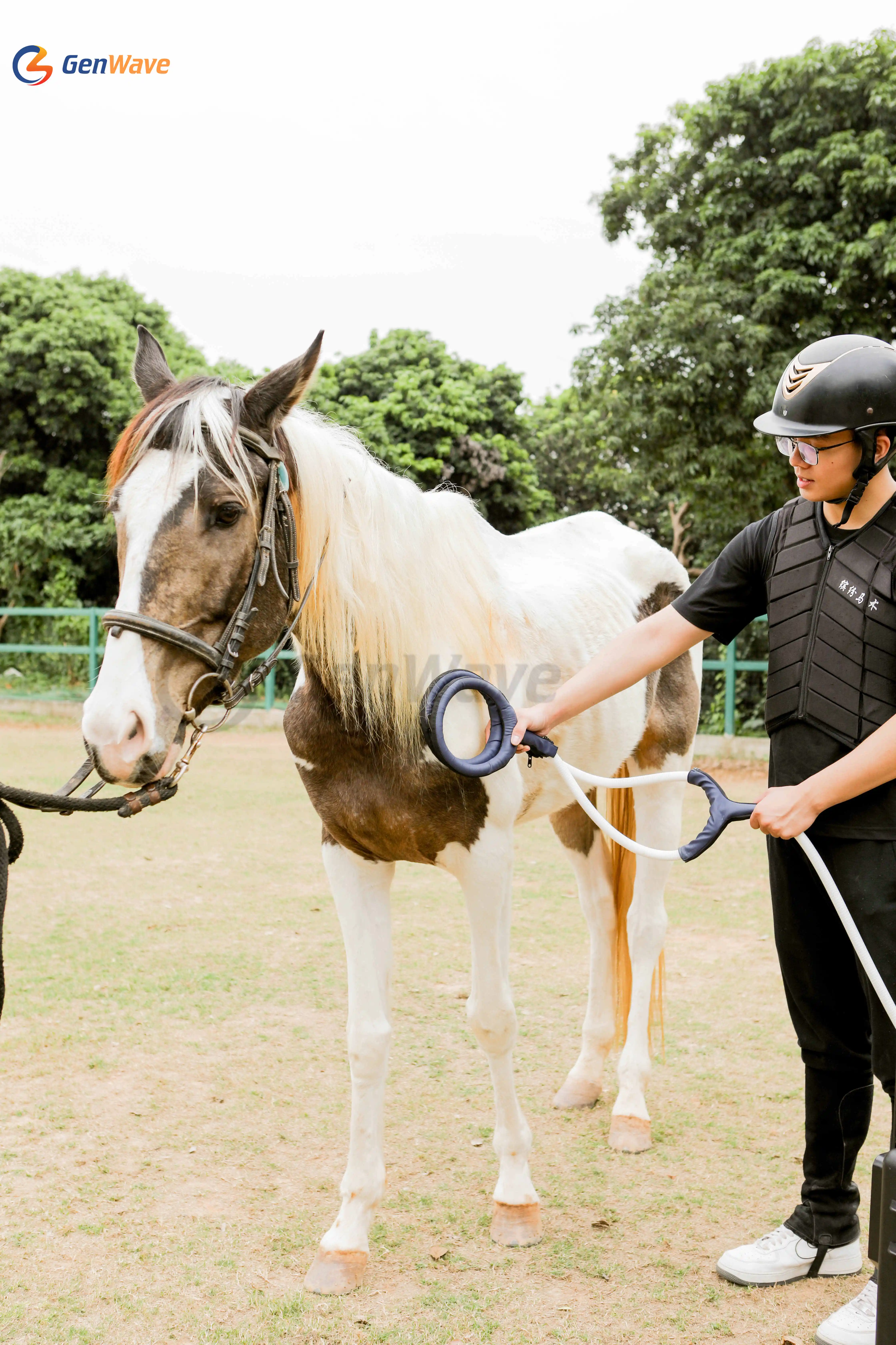 PEMF Magnetic Therapy Device PMST LOOP For Horse Animal Care China PEMF Loop PEMF Mat