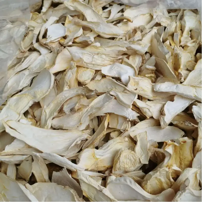 Hot sale pleurotus eryngii high quality bulk mushroom king oyster mushroom