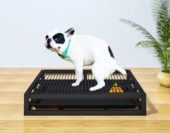 Wholesale Stainless Steel Dog Basins, Large Capacity Pet Toilets, Anti Bite Training Trays, Dog Toilets, Trash Cans