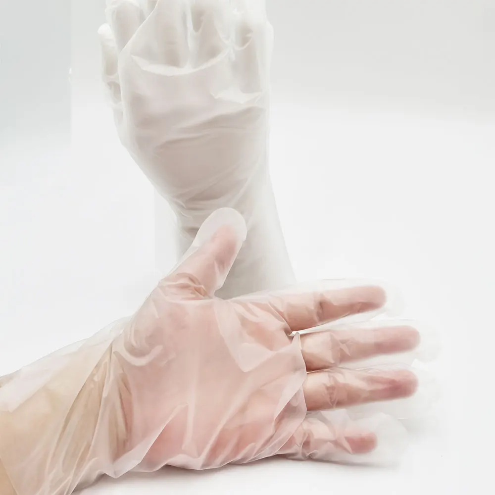 Disposable Plastic Gloves Tpe Plastic Glove