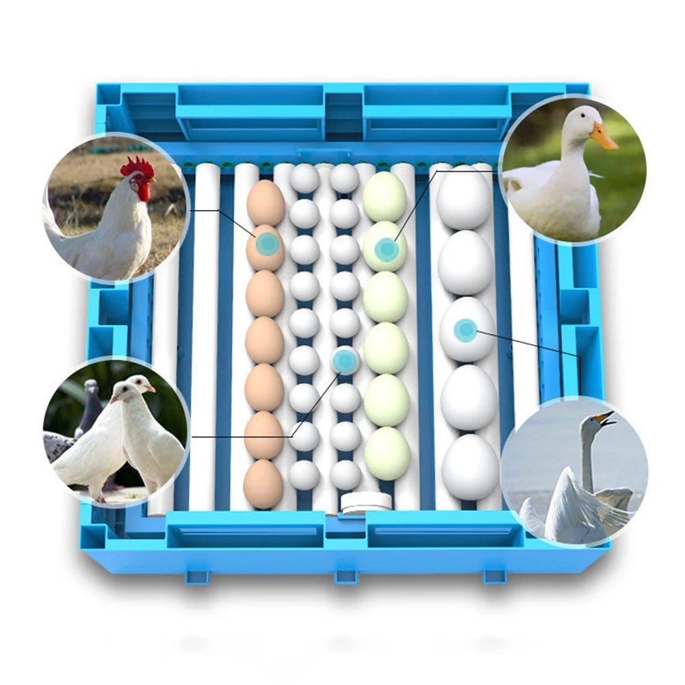 Eggs Incubator With Automatic, Egg Turning Eggs Incubator For Chicken Duck Quail Birds/