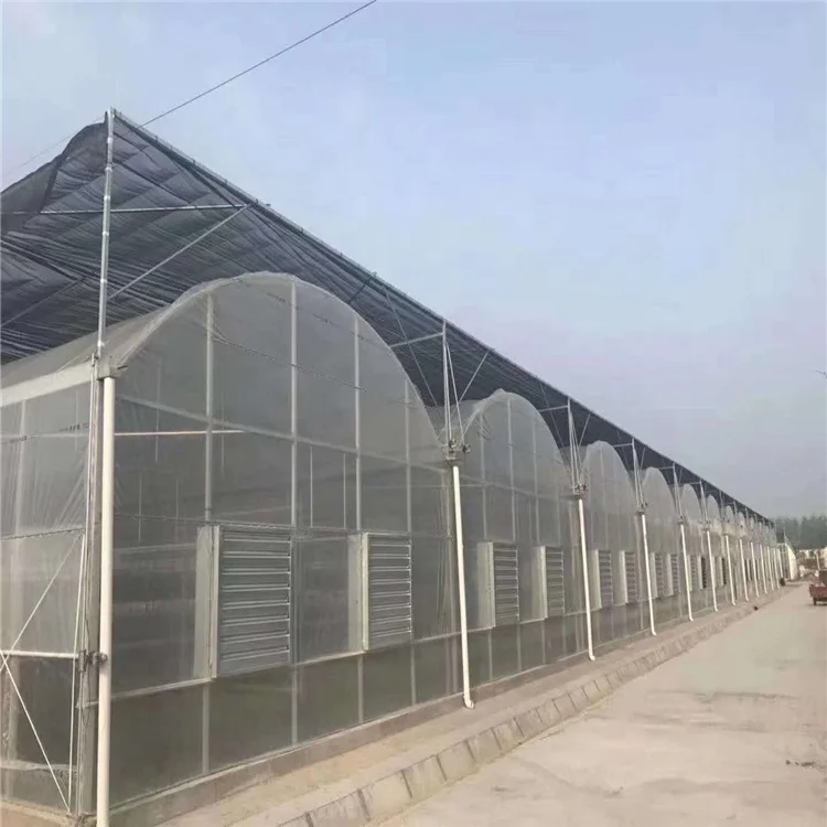 One one 100% automatic light deprivation blackout greenhouse Medical Plant Growing Fully Auto greenhouses