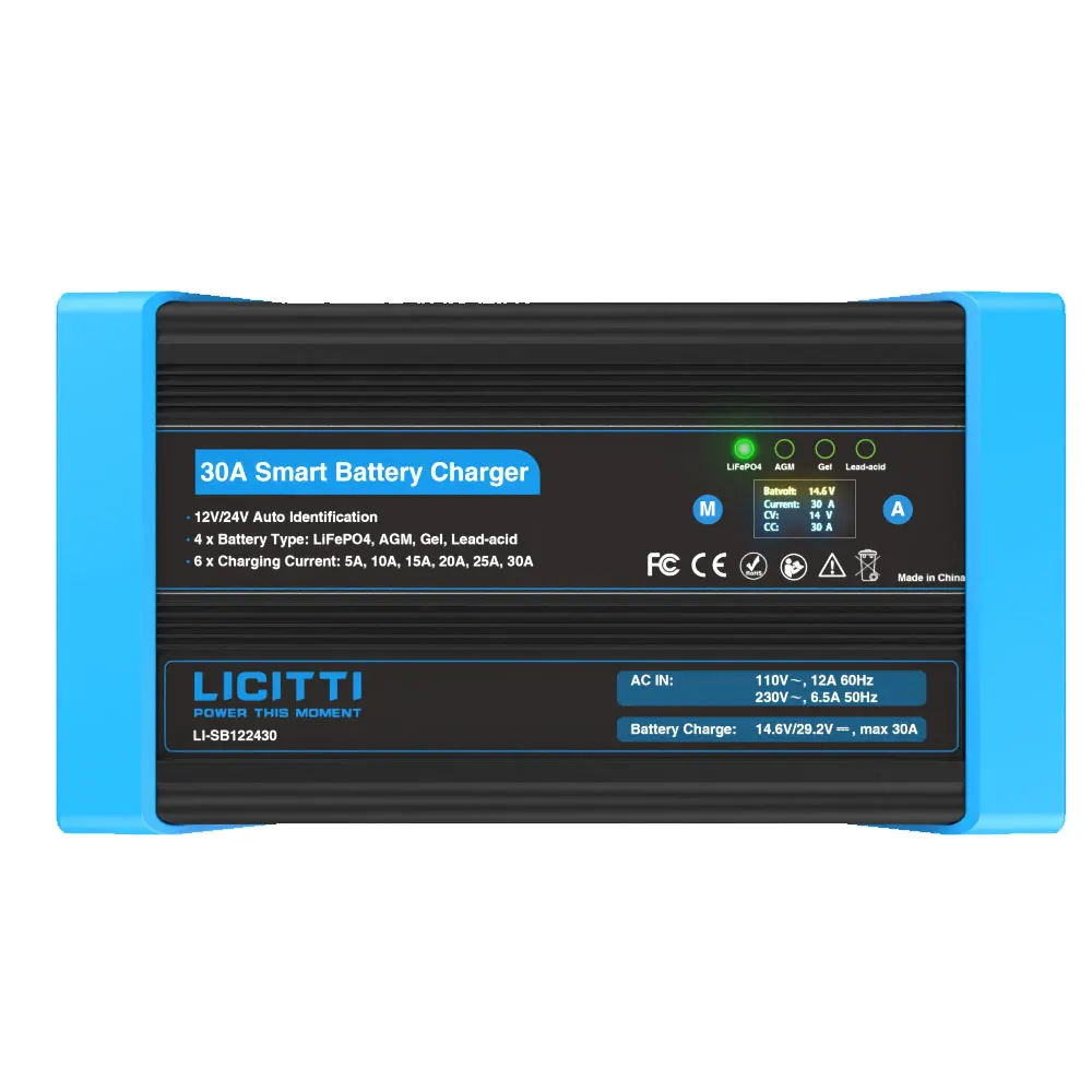 110V to 220V Three DC Type Connectors  DC AC 12V 24V Auto Identification 30A Battery Charger