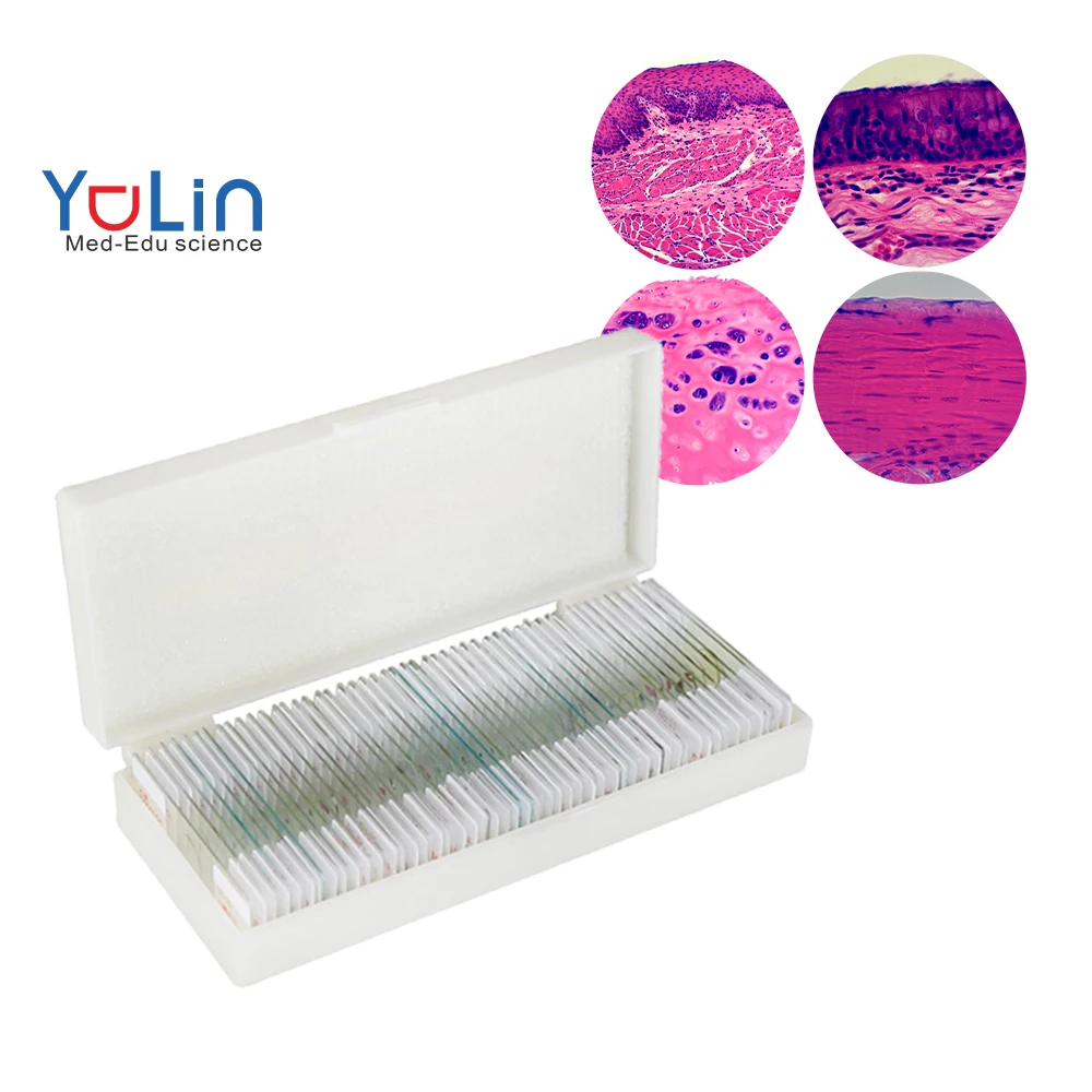 Factory Teaching resources biology Hot selling microbiology and histology mixed slide biological prepared slides for wholesales