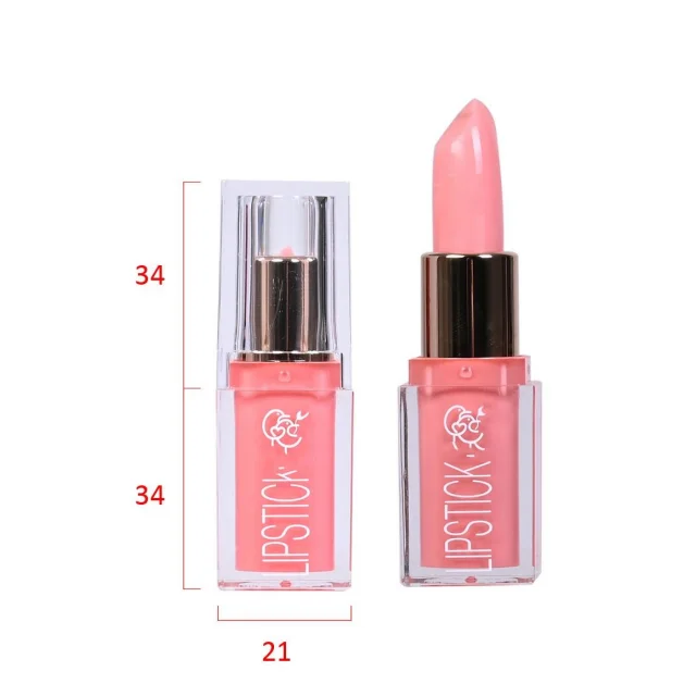 Custom Logo OEM ODM Natural Sheer Mineral-based Private Label Lip Pumping Stick Makeup Lipstick