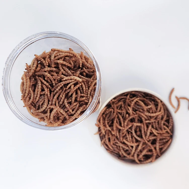 New Functionality Dried Insects Freeze Dried Mealworm for Small Pet food