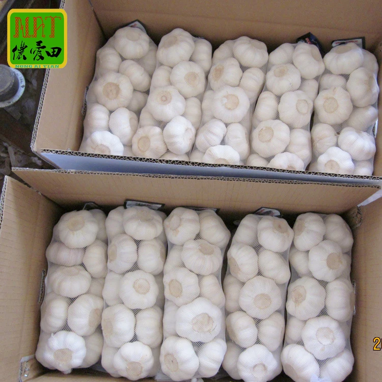 Top Grade Fresh garlic in mesh bags / cartons 2023 newest crop best quality for wholesale 3p/4p/5p Small package garlic to bawan