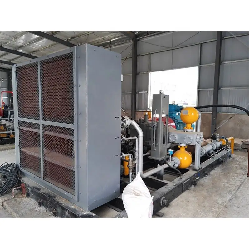 Hot Sale Nature Gas Compressor For Car Filling Station