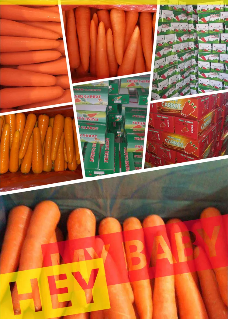 packing-01.jpg