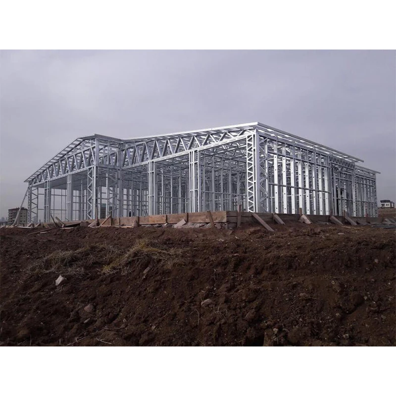 AFFORDABLE Price Steel Warehouse Buildings