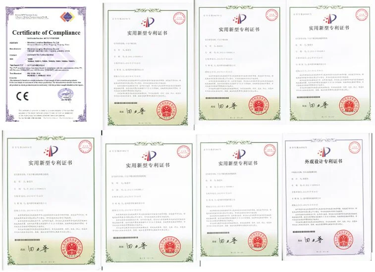 One Year Warrant Fully Automatic Holographic Position Embossing Hot Foil Stamping Die Cutting Stripping Machine For  paper