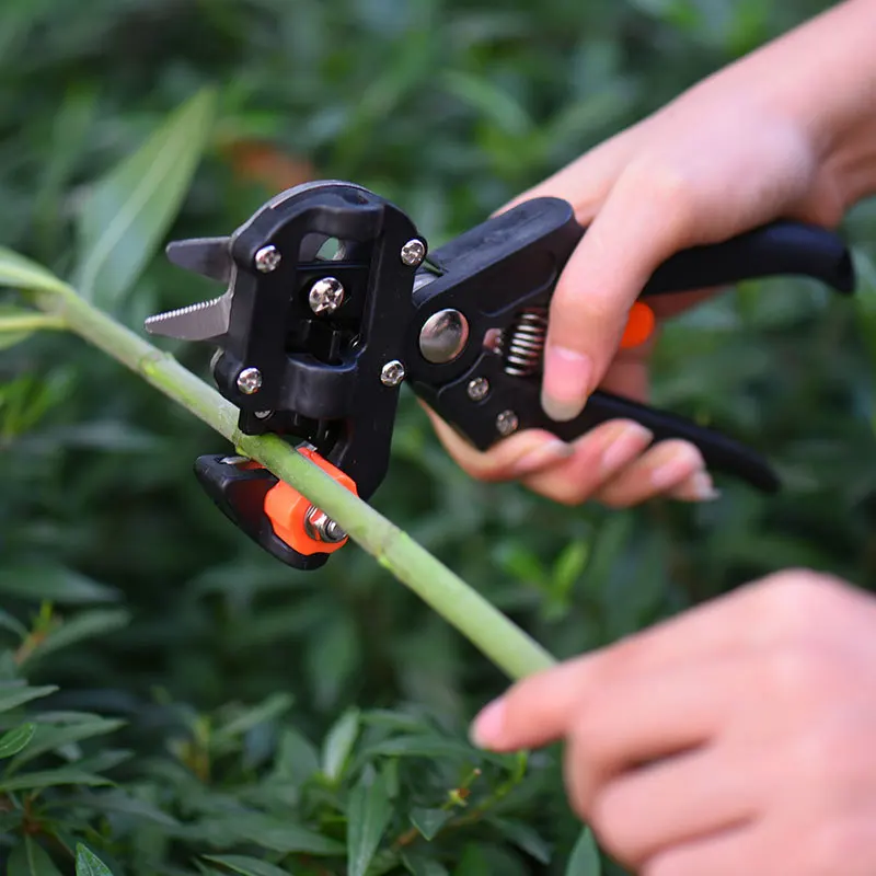 Gardening Tools Grafting Shears Fruit Tree Grafting Tools Orchard Pruning Shears seedling grafting tool