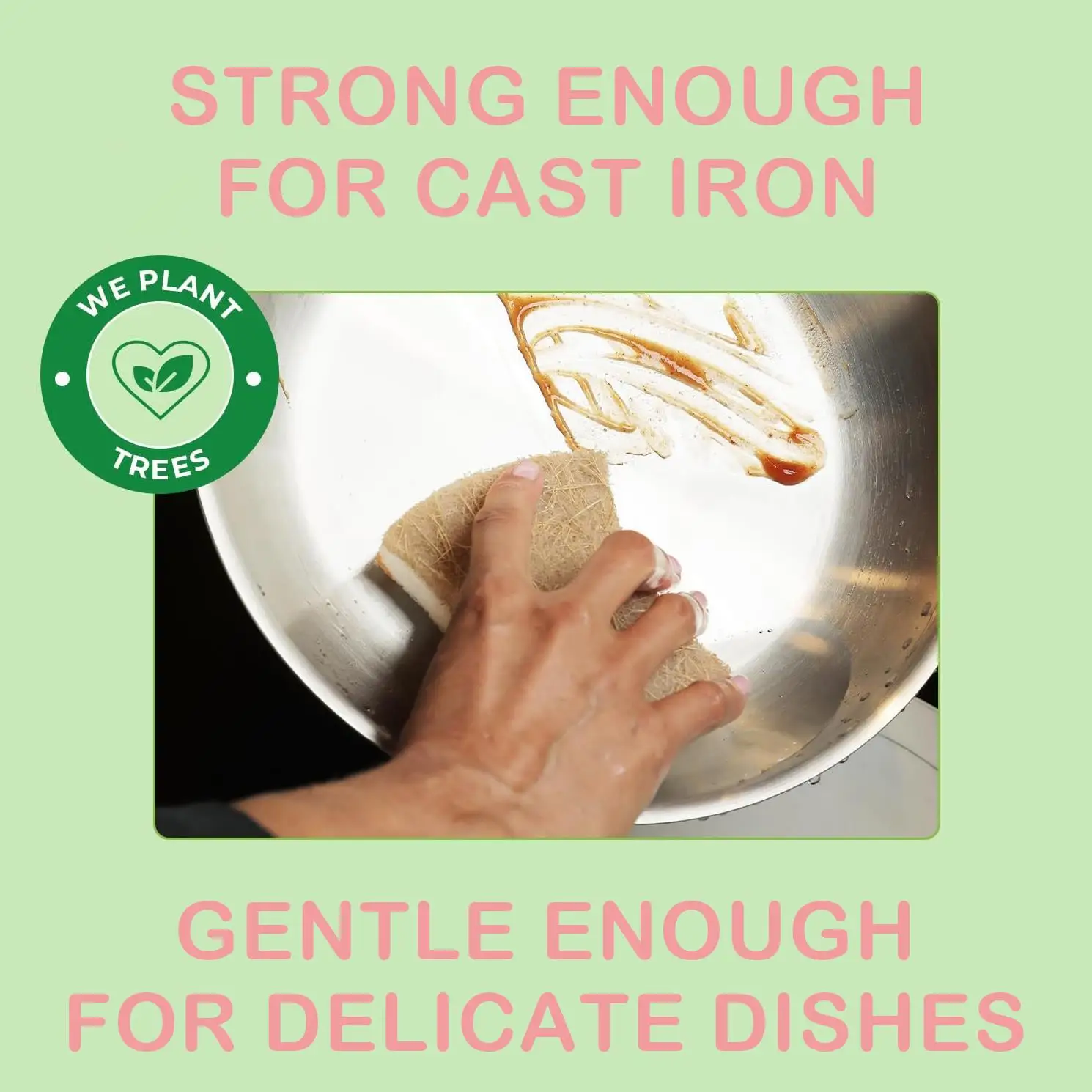 Biodegradable Natural Kitchen Sponge Compostable Cellulose and Coconut Walnut Scrubber Eco Friendly