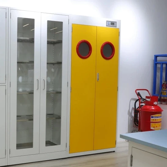 Lab Furniture laboratory Equipment chemical Liquid Storage Strove Gas Cylinder Cabinet