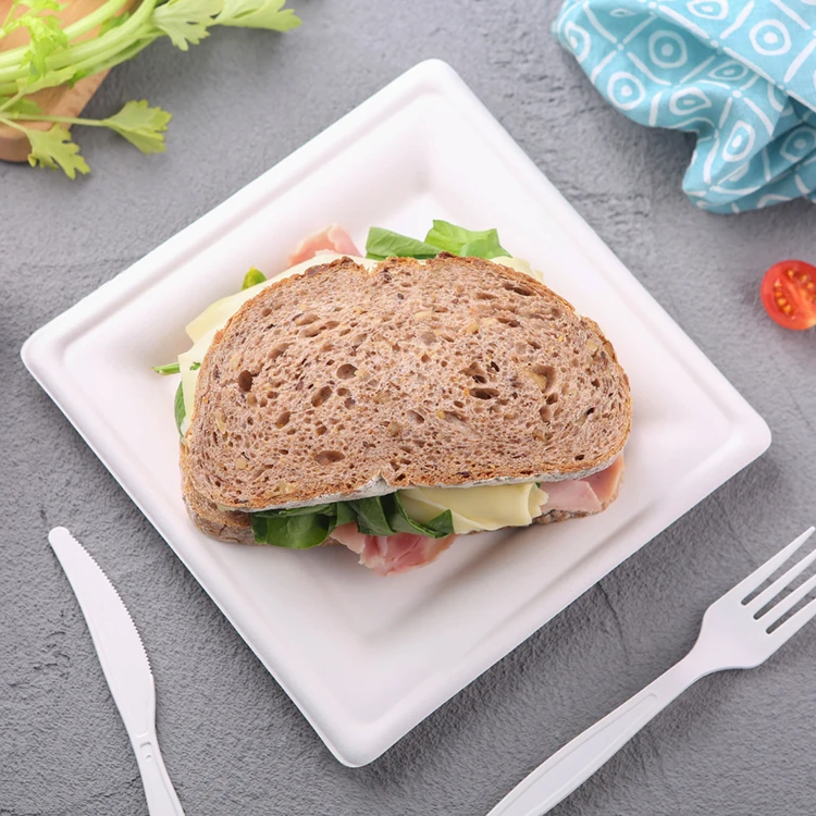 High elasticity High Grade Fruit Fruit Dinner  Biodegradable Fruit Plate