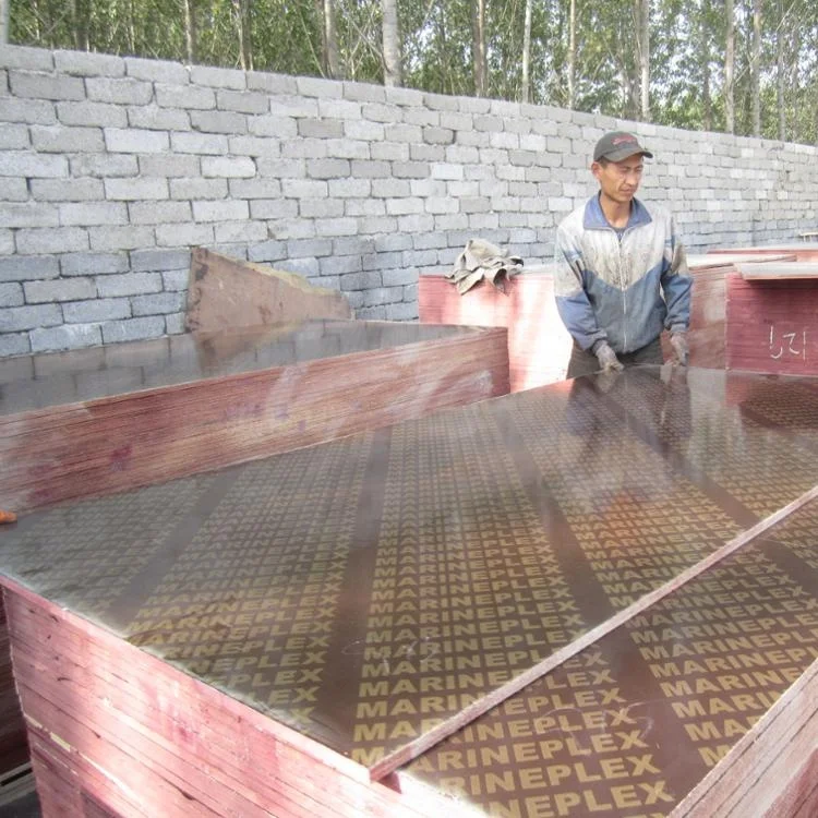 China waterproof 16mm  16.5mm 17mm 17.5mm 18mm finger joint recycled film face plywood board for dubai UAE